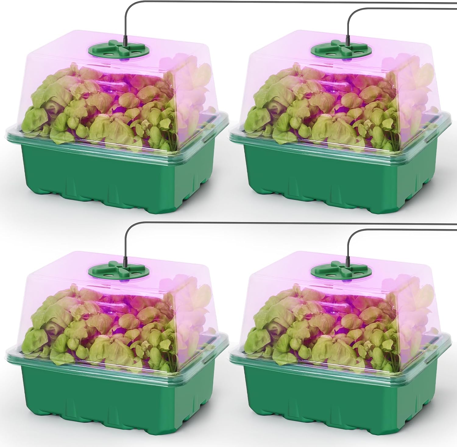 Humidity Dome Kit - Seed Starter Kit with Grow Light,