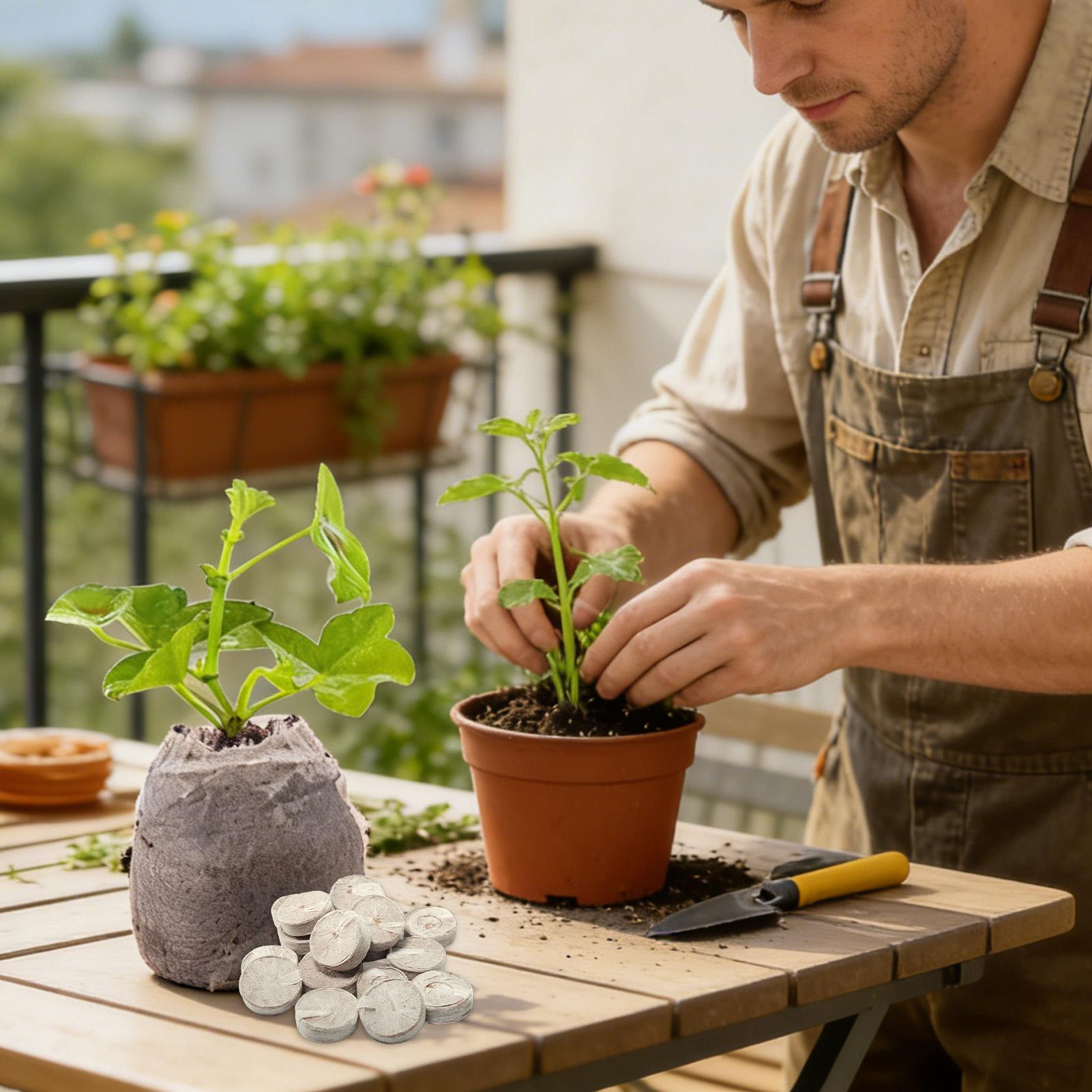 Peat Pellets 100 Piece Potting - Peat Pellet Tray incelemesi ve fiyatı