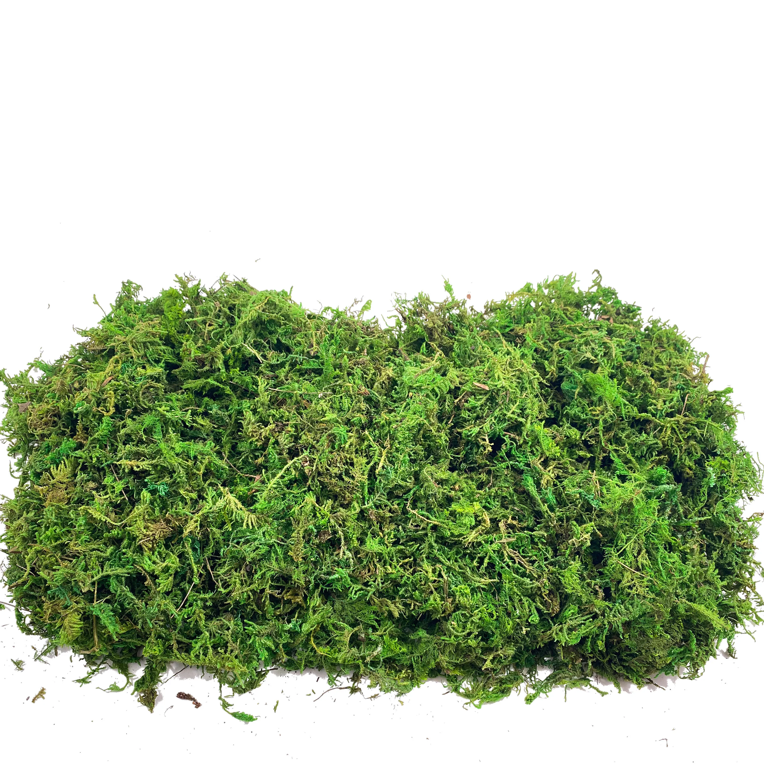Fake Moss Artificial Moss for  - Sphagnum Moss Dry incelemesi ve fiyatı