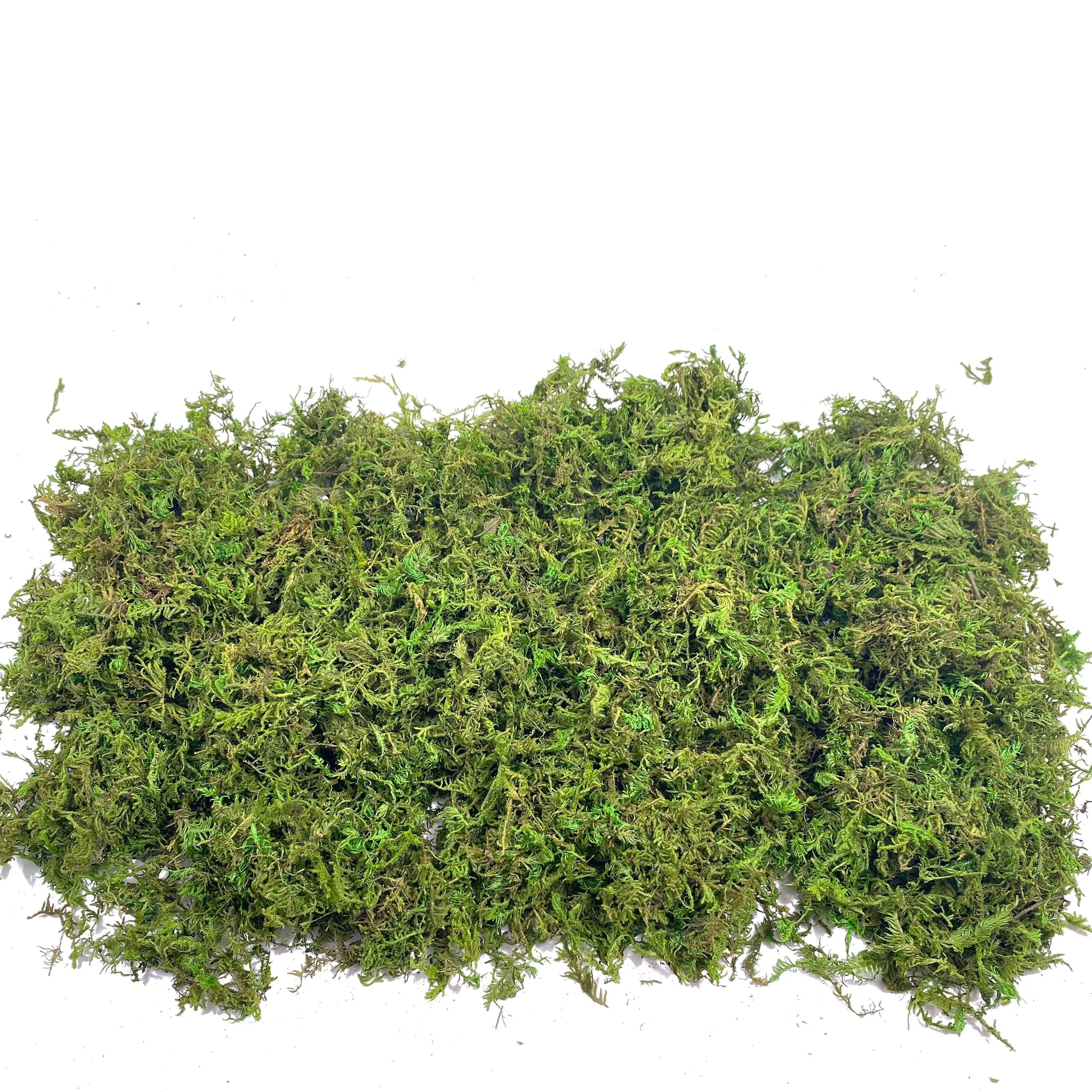 Fake Moss Artificial Moss for  - Sphagnum Moss Dry incelemesi ve fiyatı