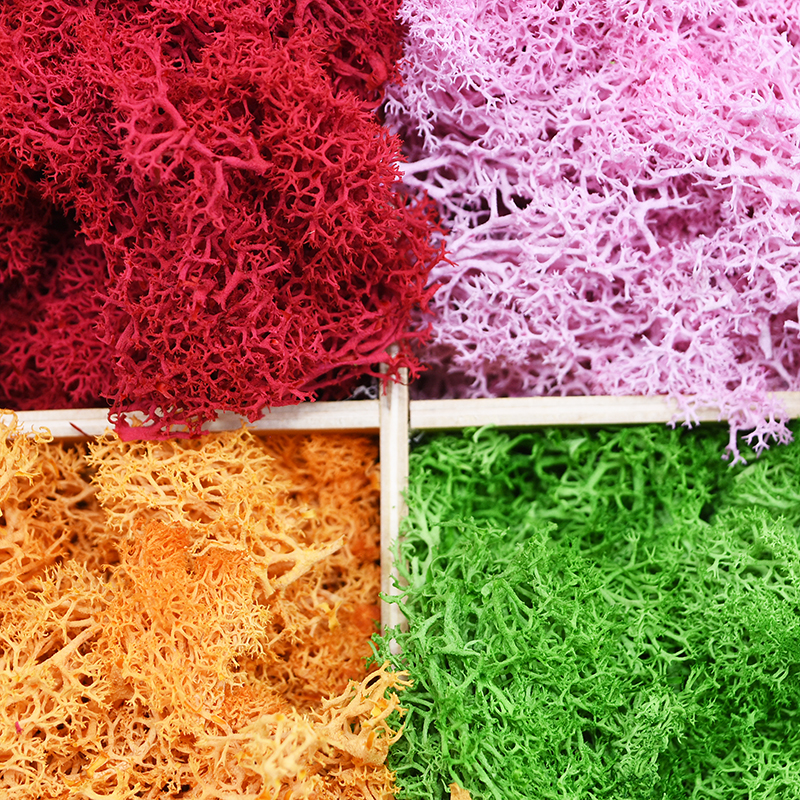20/40g Artificial Green Plants - Sphagnum Moss Dry incelemesi ve fiyatı