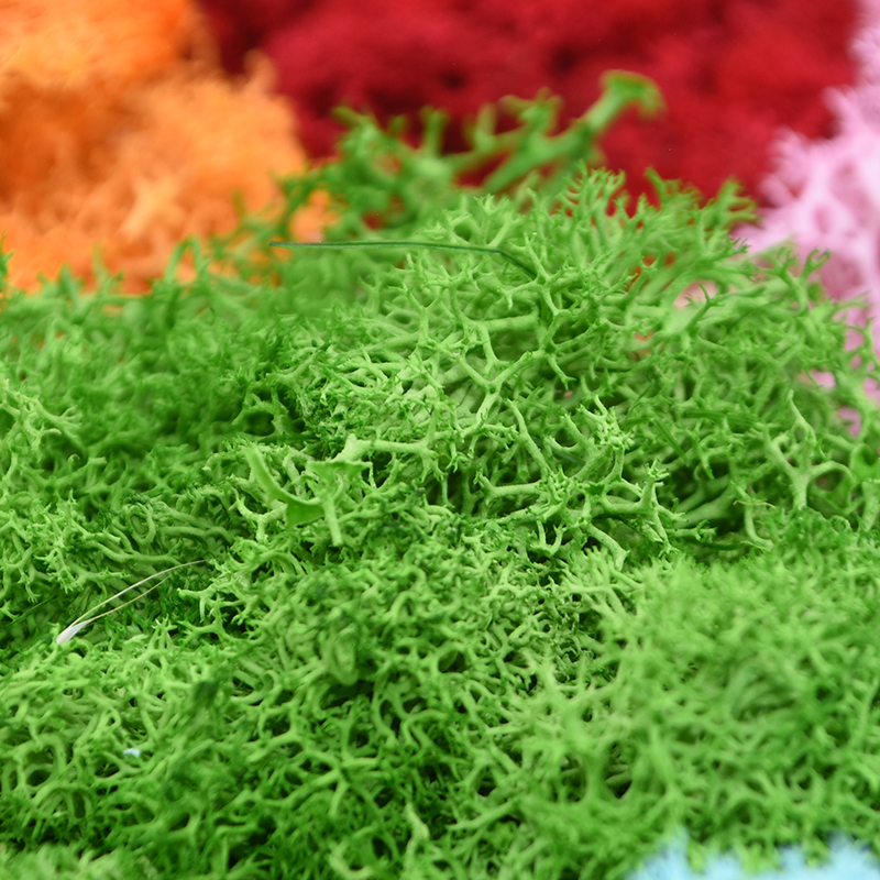 20/40g Artificial Green Plants - Sphagnum Moss Dry incelemesi ve fiyatı
