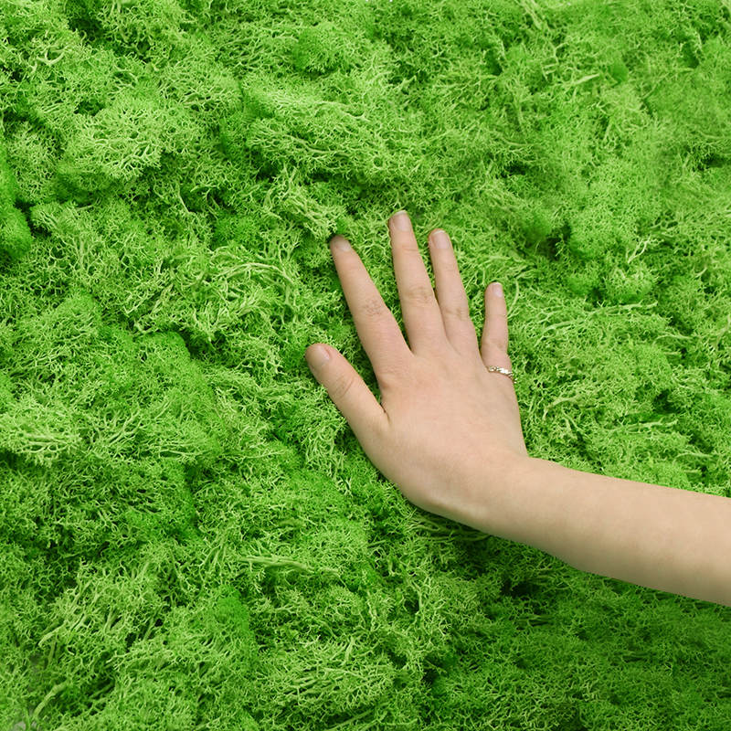 20/40g Artificial Green Plants - Sphagnum Moss Dry incelemesi ve fiyatı