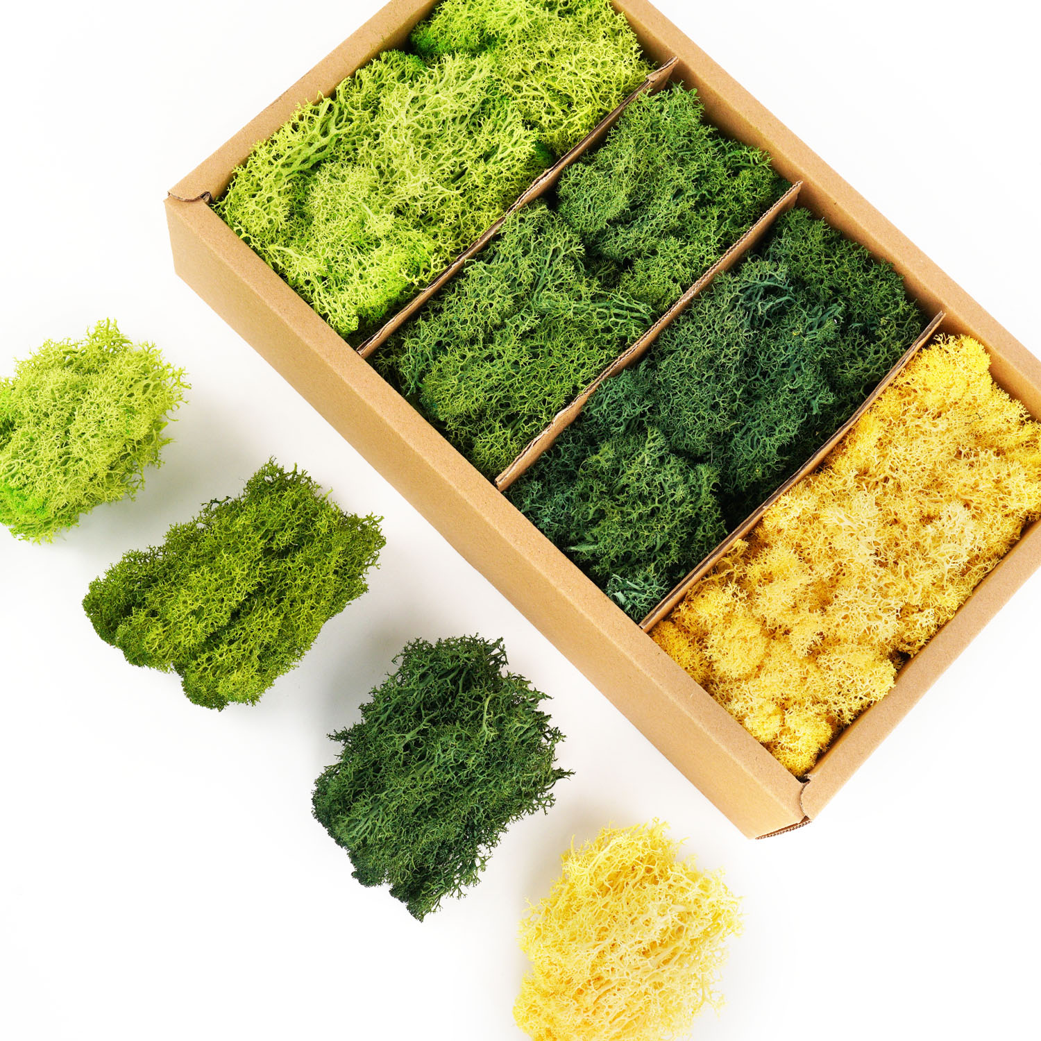Artificial Green Plants Eterna - Sphagnum Moss Dry incelemesi ve fiyatı