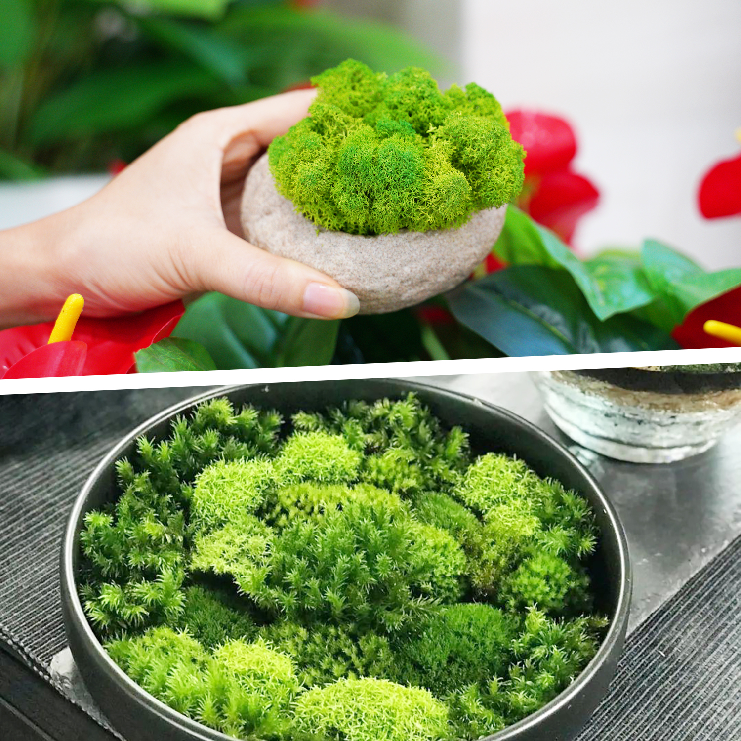 Artificial Green Plants Eterna - Sphagnum Moss Dry incelemesi ve fiyatı