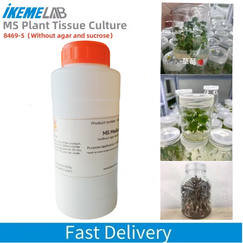 IKEME 250g Lab MS Medium Witho - Agar Tissue Culture incelemesi ve fiyatı