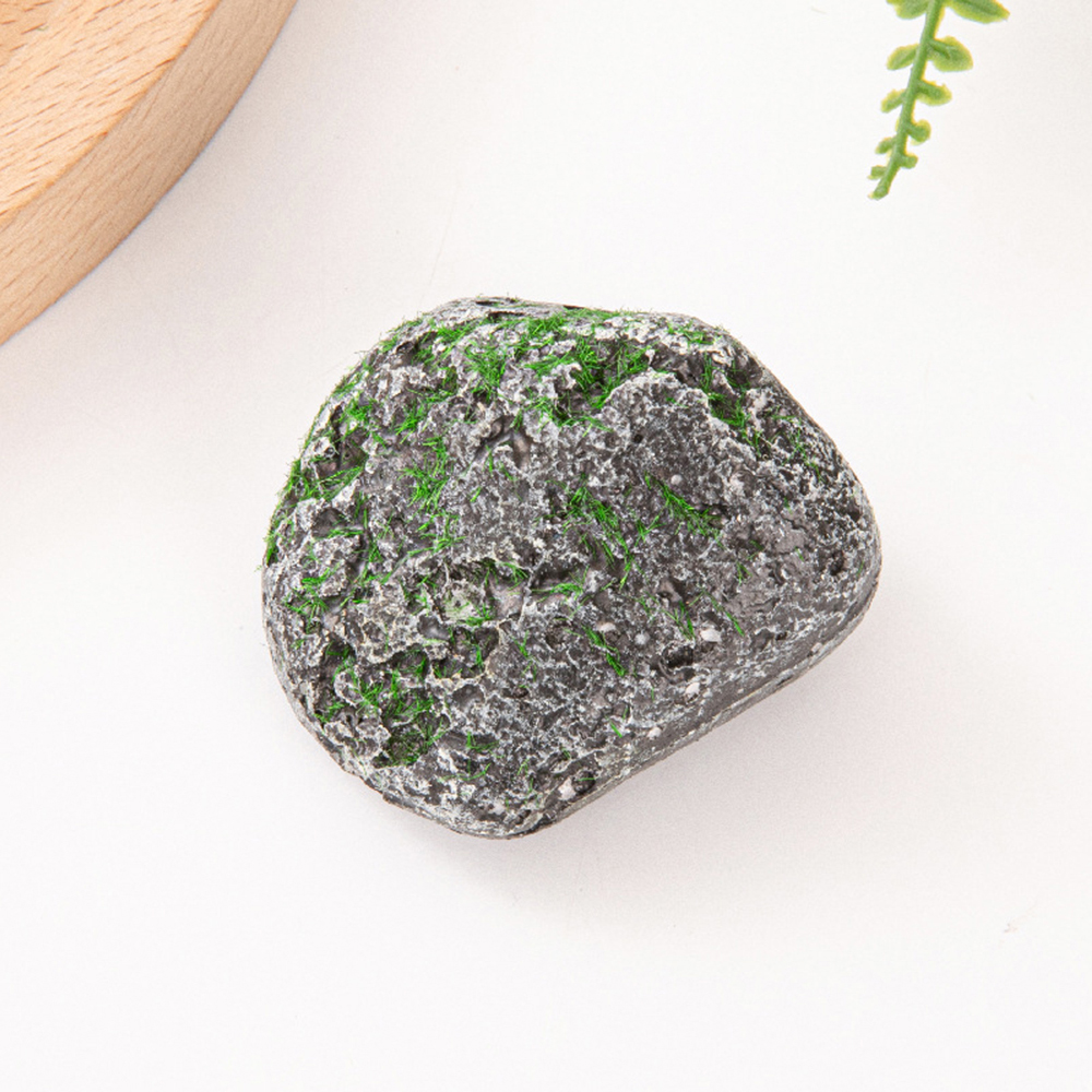 10PCS Mossy Gray Stone Multi-s - Sphagnum Moss Dry incelemesi ve fiyatı