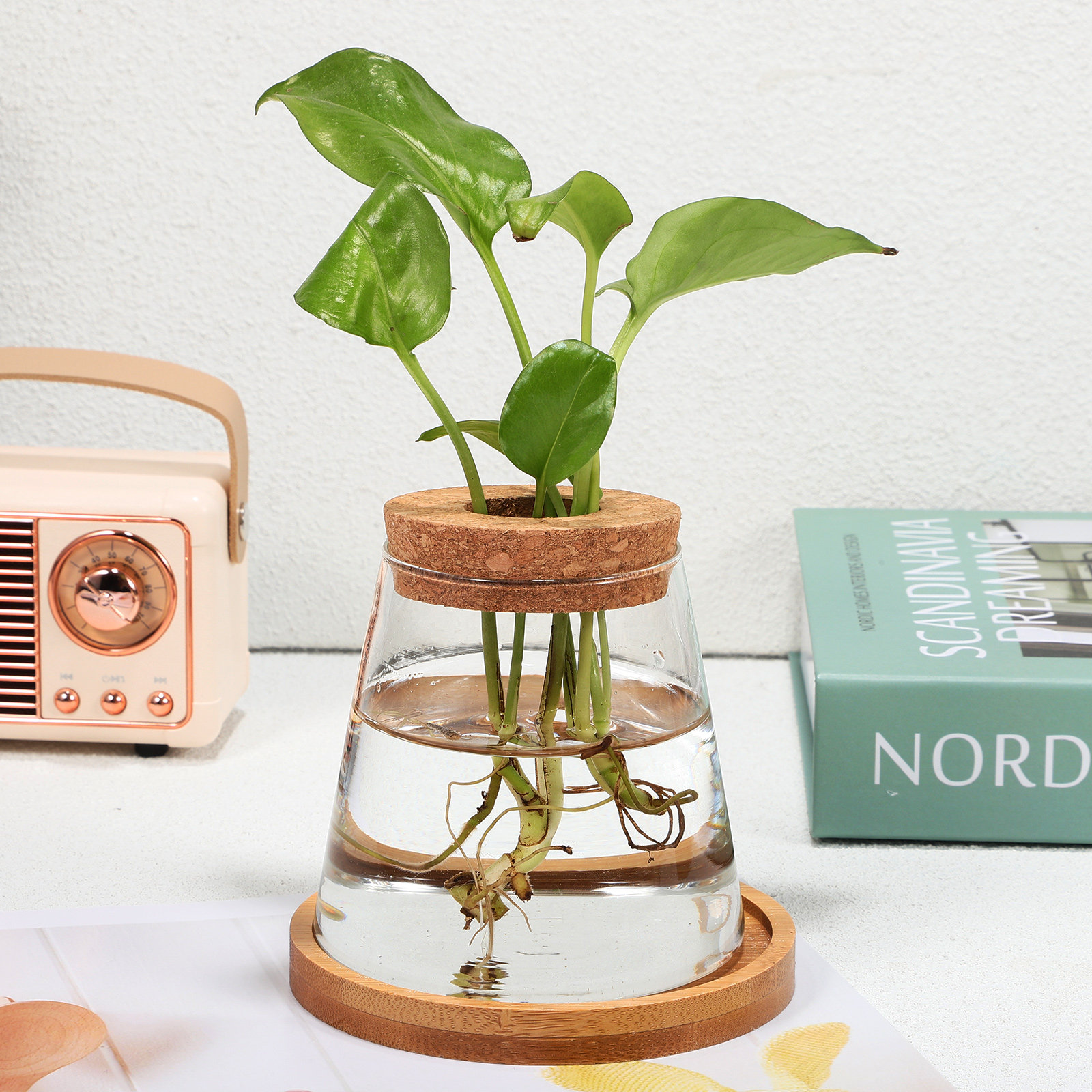 2Pcs Water Planters Glass Prop - Propagation Station Vase incelemesi ve fiyatı