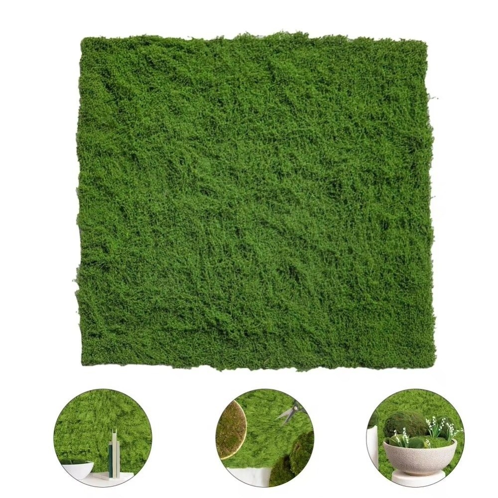 DIY Artificial Grass Rug Lifel - Sphagnum Moss Dry incelemesi ve fiyatı