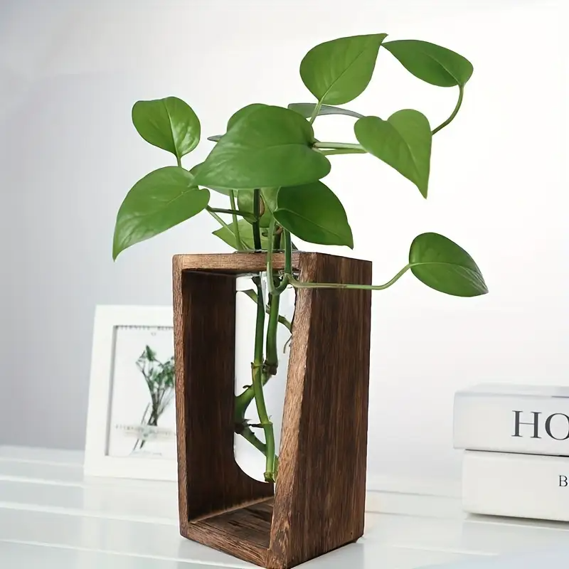 Modern Wood Propagation Vase - - Propagation Station Vase incelemesi ve fiyatı