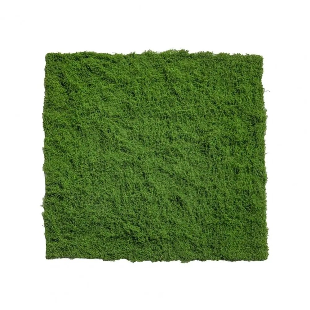 DIY Artificial Grass Rug Durab - Sphagnum Moss Dry incelemesi ve fiyatı