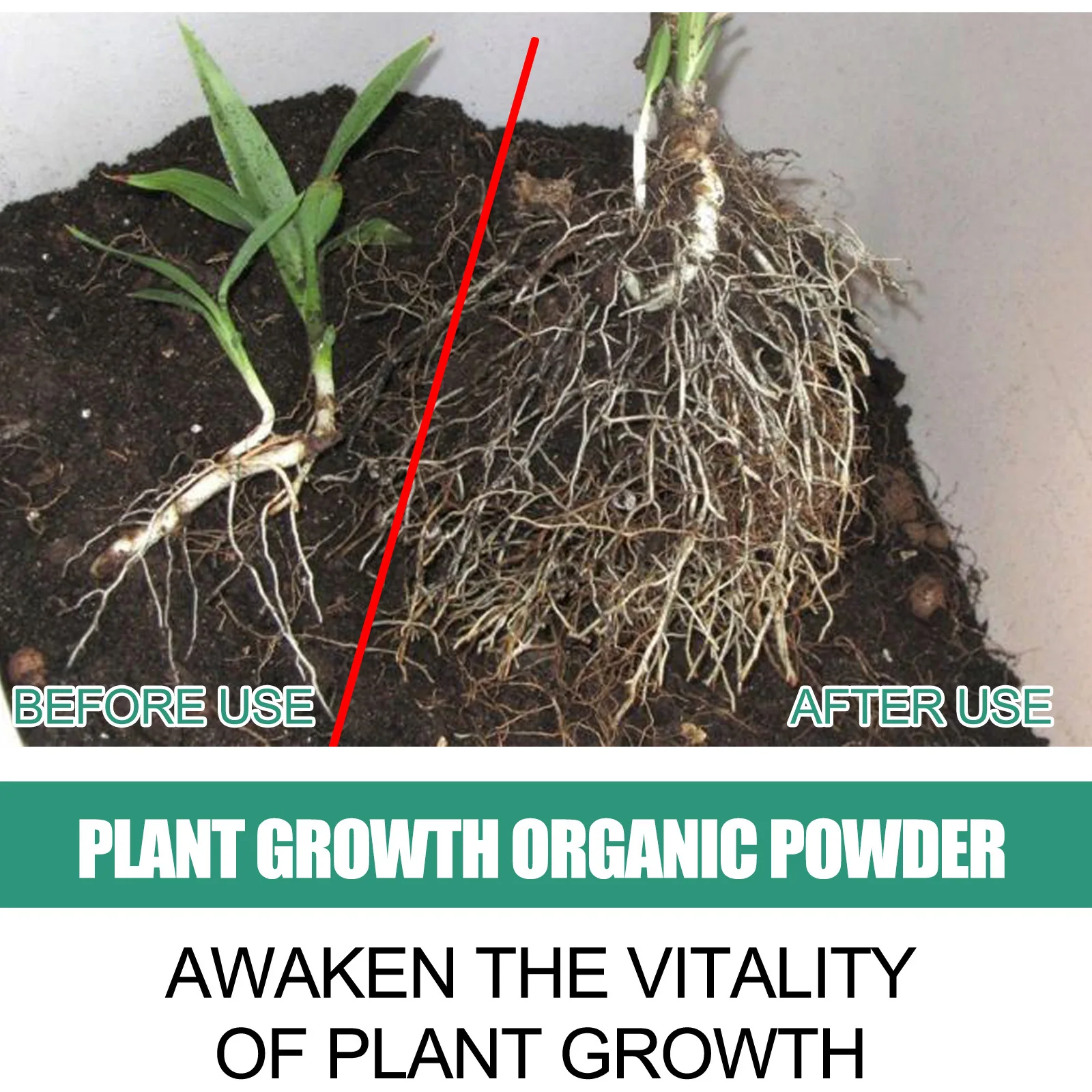 Fast Rooting Powder Plant Soil - Rooting Hormone Powder incelemesi ve fiyatı