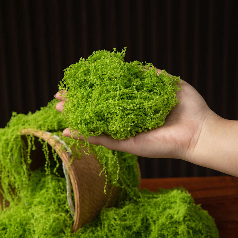 200g Eternal Life Moss DIY Cra - Sphagnum Moss Dry incelemesi ve fiyatı