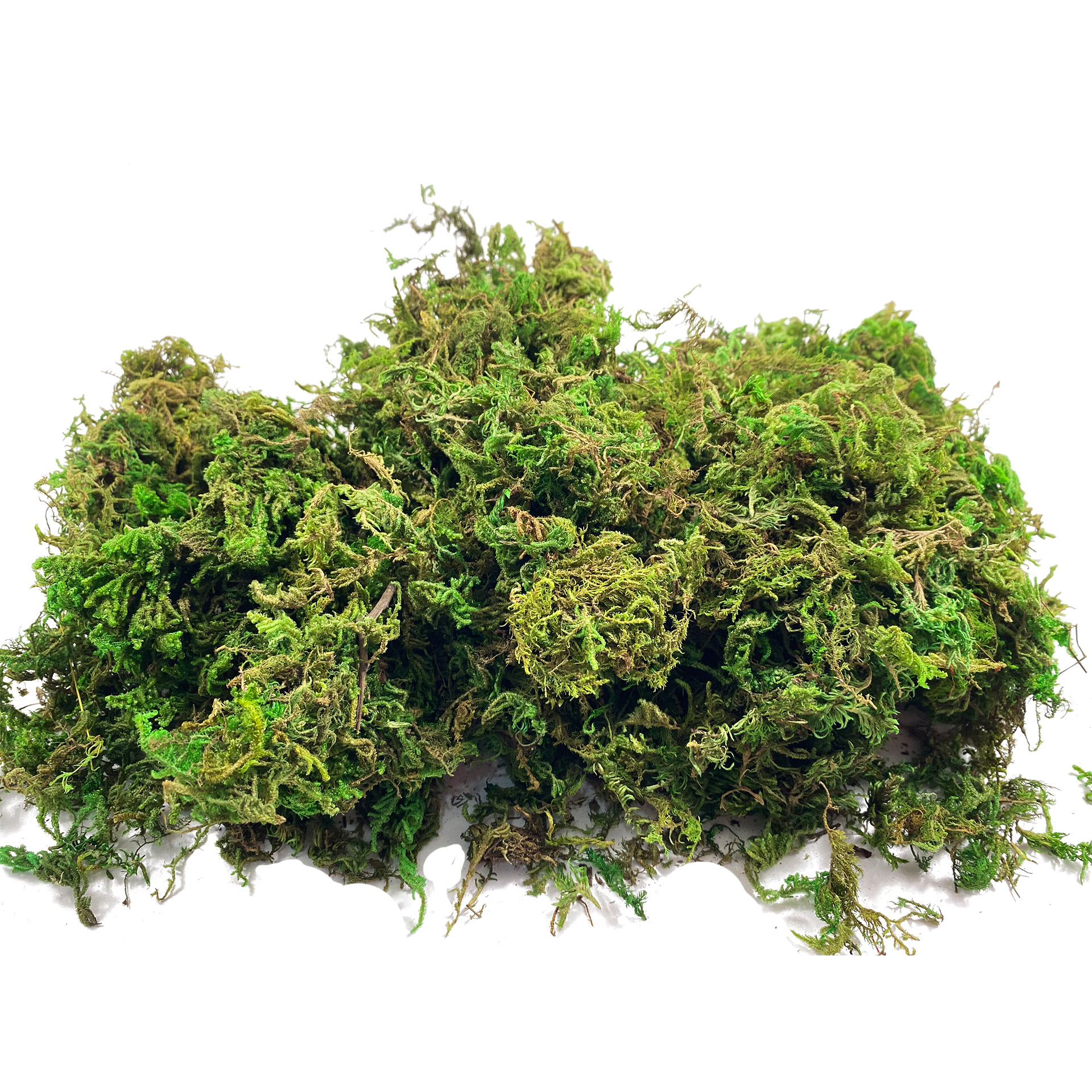 Artificial Fake Moss, Craft Mo - Sphagnum Moss Dry incelemesi ve fiyatı