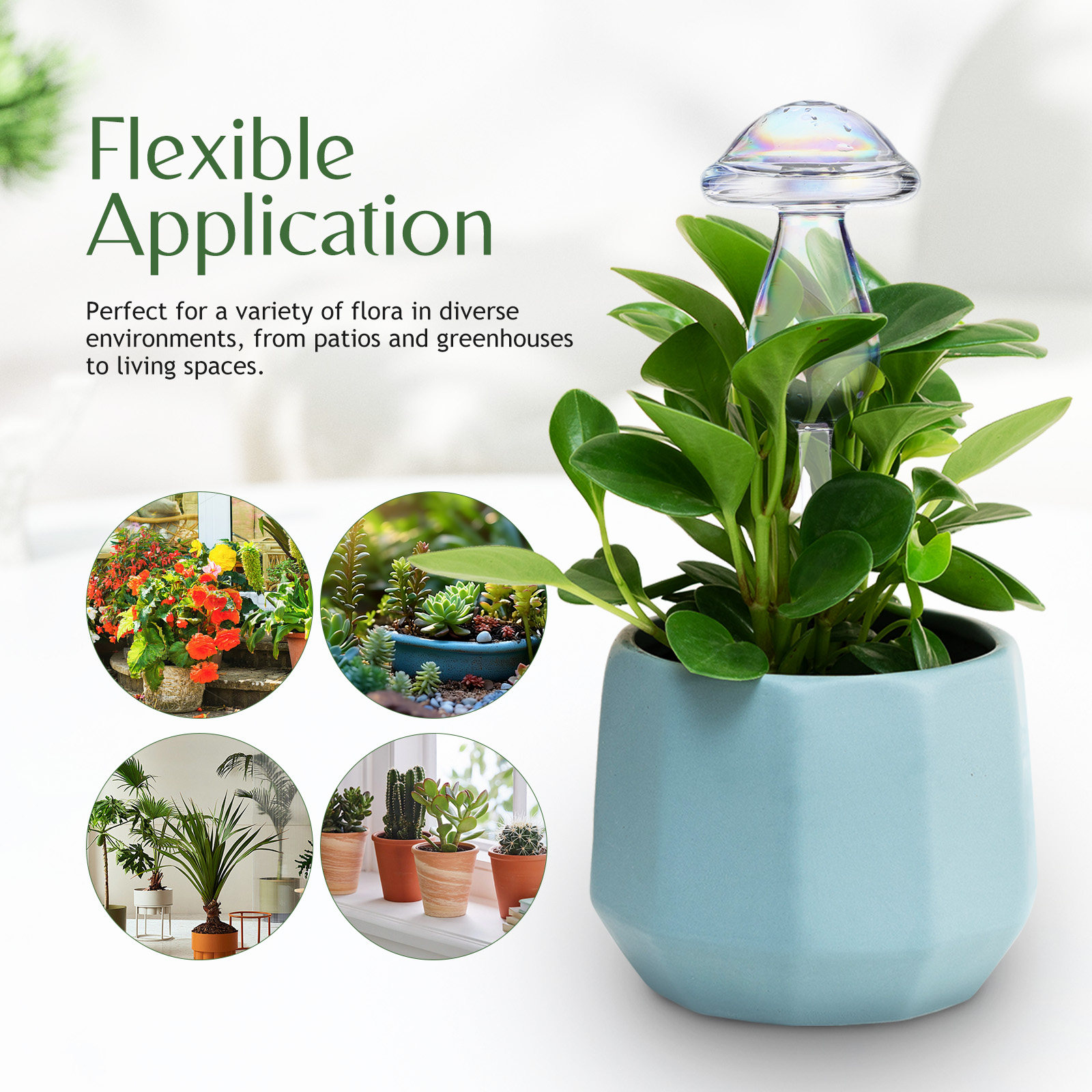 4 Pcs Pot Watering Device Plan - Self Watering Insert incelemesi ve fiyatı