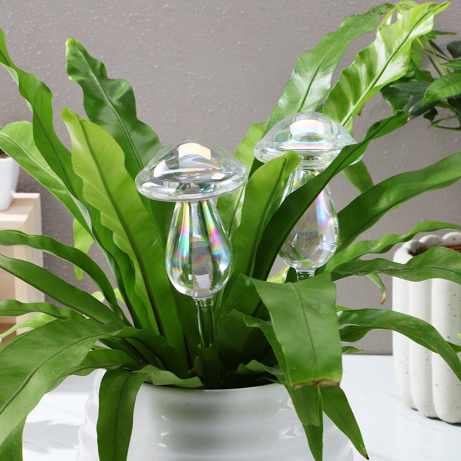 4 Pcs Pot Watering Device Plan - Self Watering Insert incelemesi ve fiyatı
