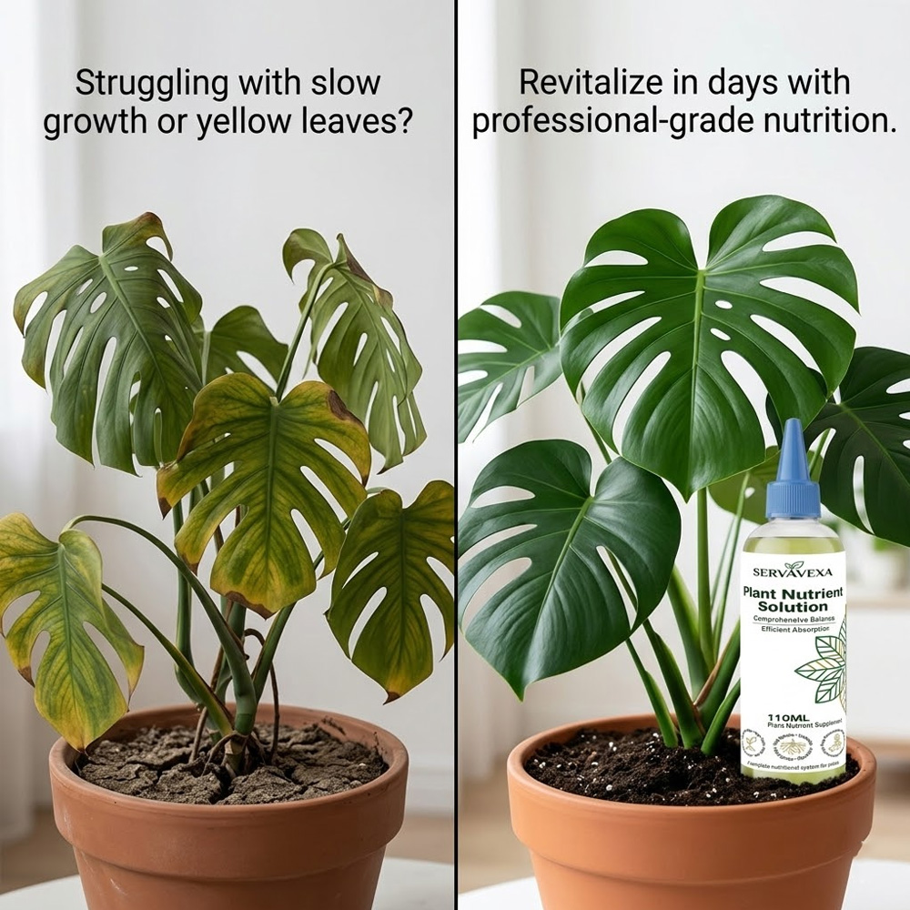 Plant  Nutrient Solution Rapid - Root Stimulator Liquid incelemesi ve fiyatı