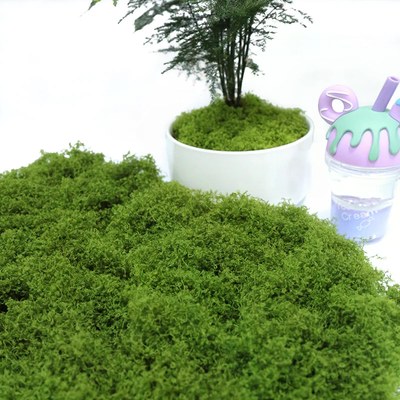 50g Fake Moss DIY Crafts Grass - Sphagnum Moss Dry incelemesi ve fiyatı