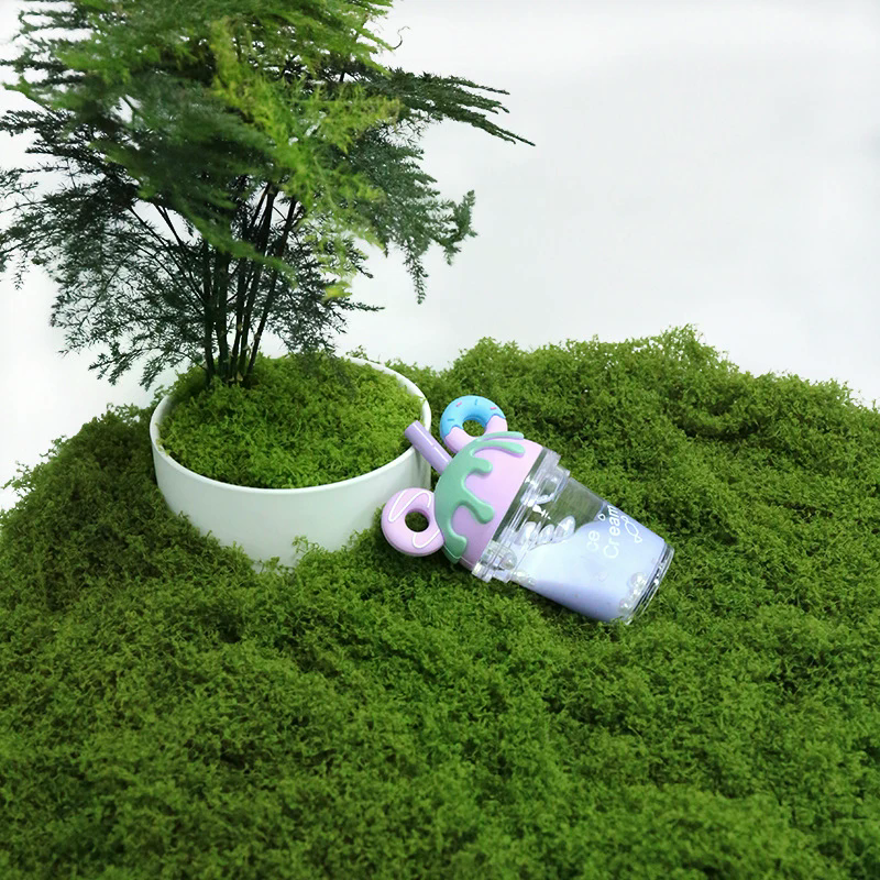 50g Fake Moss DIY Crafts Grass - Sphagnum Moss Dry incelemesi ve fiyatı