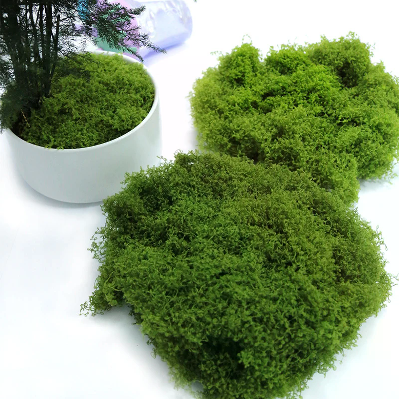 50g Fake Moss DIY Crafts Grass - Sphagnum Moss Dry incelemesi ve fiyatı