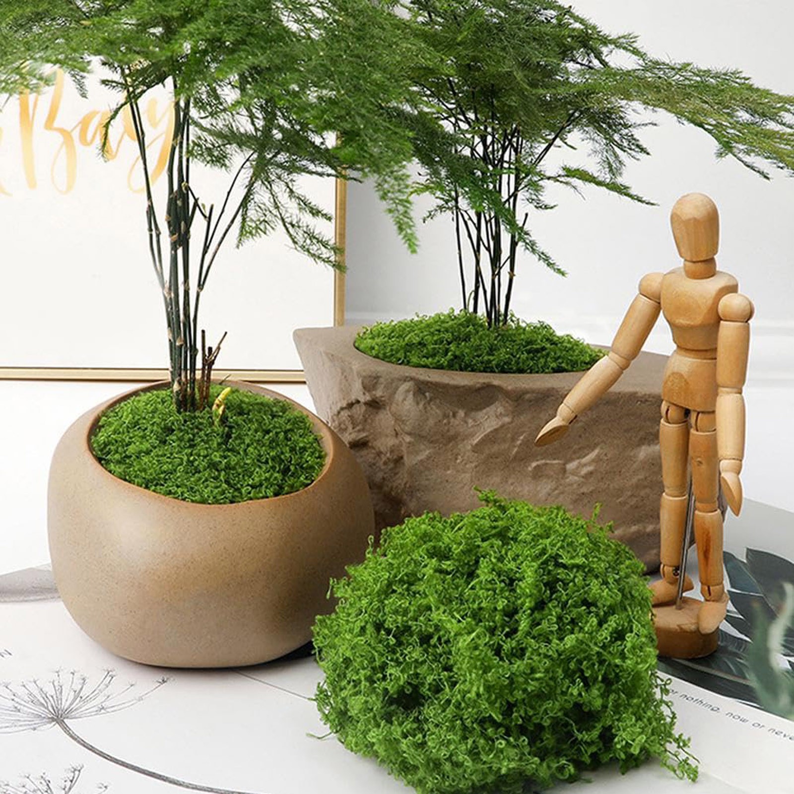 50/200g Artificial Moss For De - Sphagnum Moss Dry incelemesi ve fiyatı