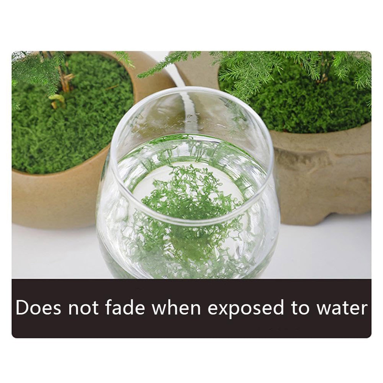 50/200g Artificial Moss For De - Sphagnum Moss Dry incelemesi ve fiyatı
