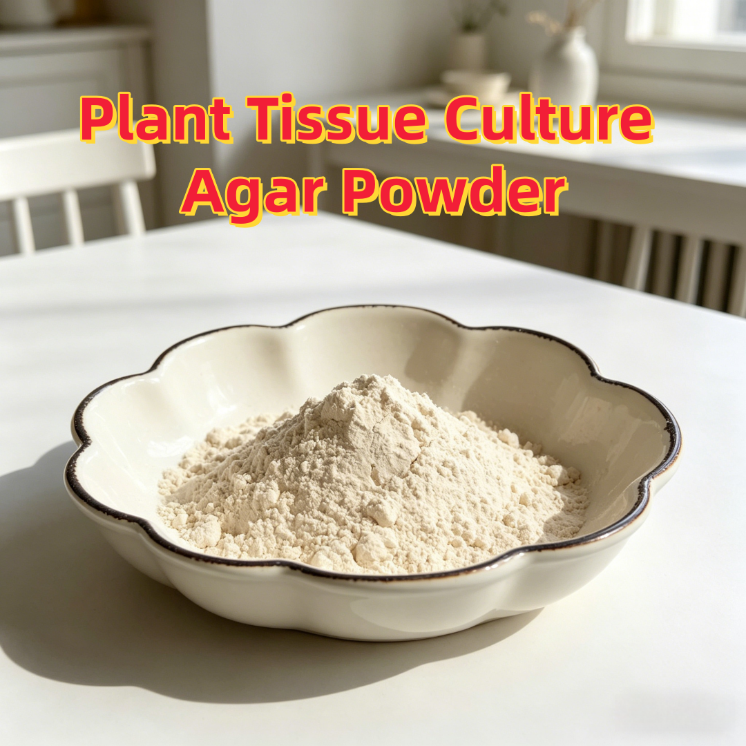 High Gel Strength Plant Tissue - Agar Tissue Culture incelemesi ve fiyatı