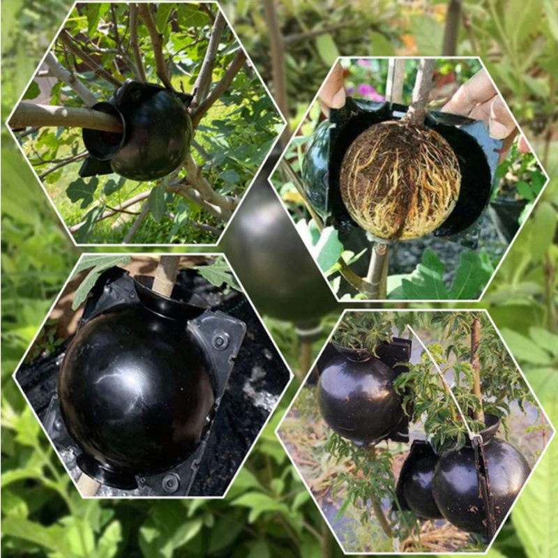 Garden Orchard Plants Grafting - Rooting Gel Clone incelemesi ve fiyatı