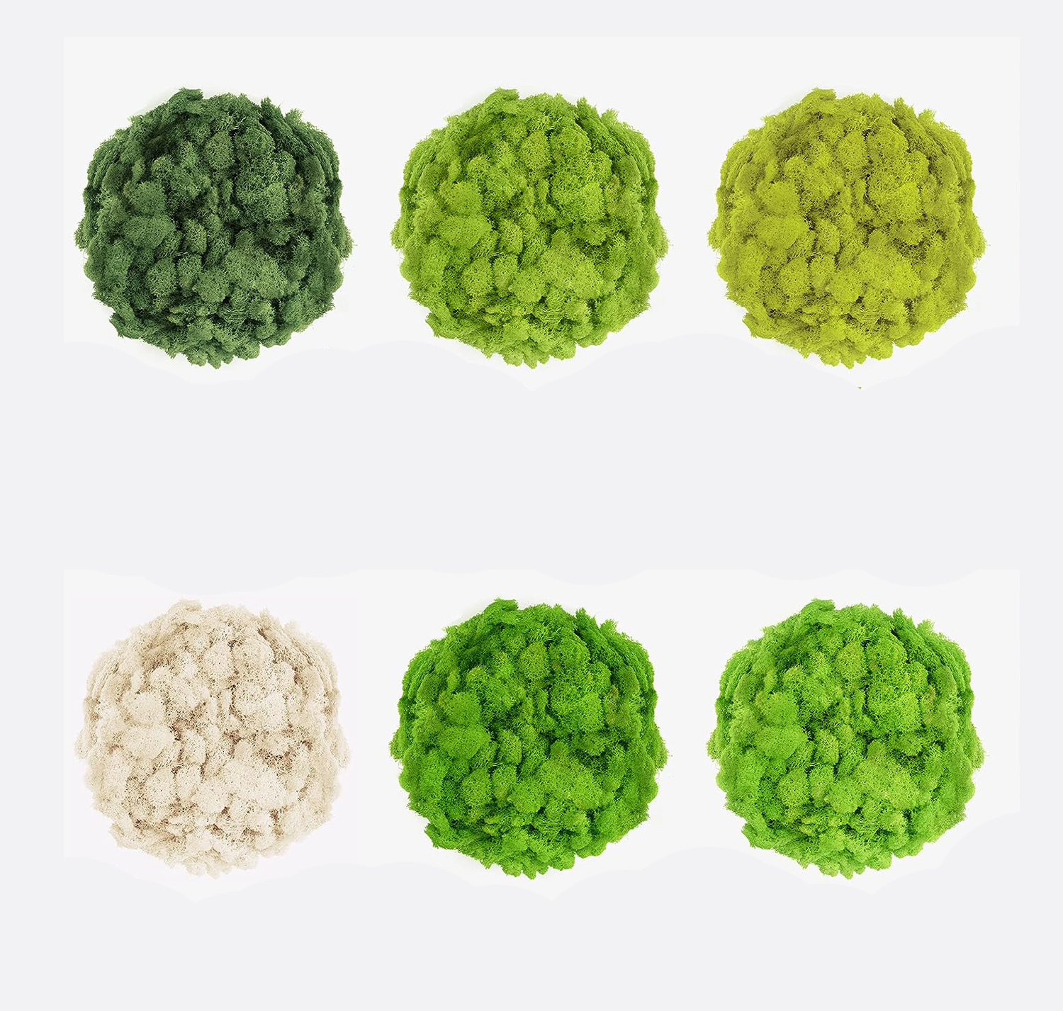 20/40/60g Eternal Life Moss Ar - Sphagnum Moss Dry incelemesi ve fiyatı