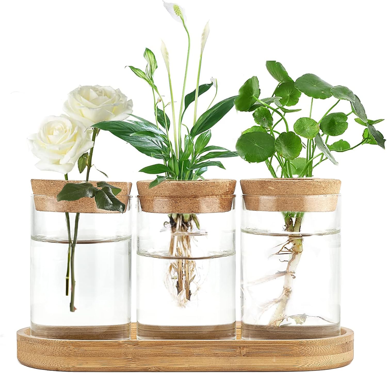 3 Pcs Glass Plant Propagation  - Propagation Station Vase incelemesi ve fiyatı