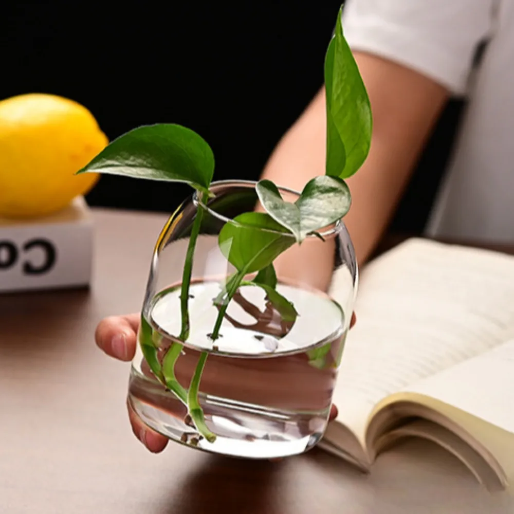 Creative Hydroponic Plant Glas - Propagation Station Vase incelemesi ve fiyatı