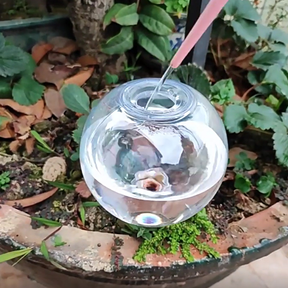 500ML Self Watering Globes Dri - Self Watering Insert incelemesi ve fiyatı