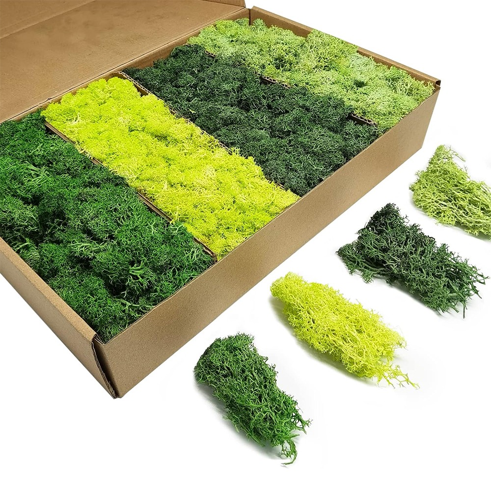 Artificial Green Plants Eterna - Sphagnum Moss Dry incelemesi ve fiyatı