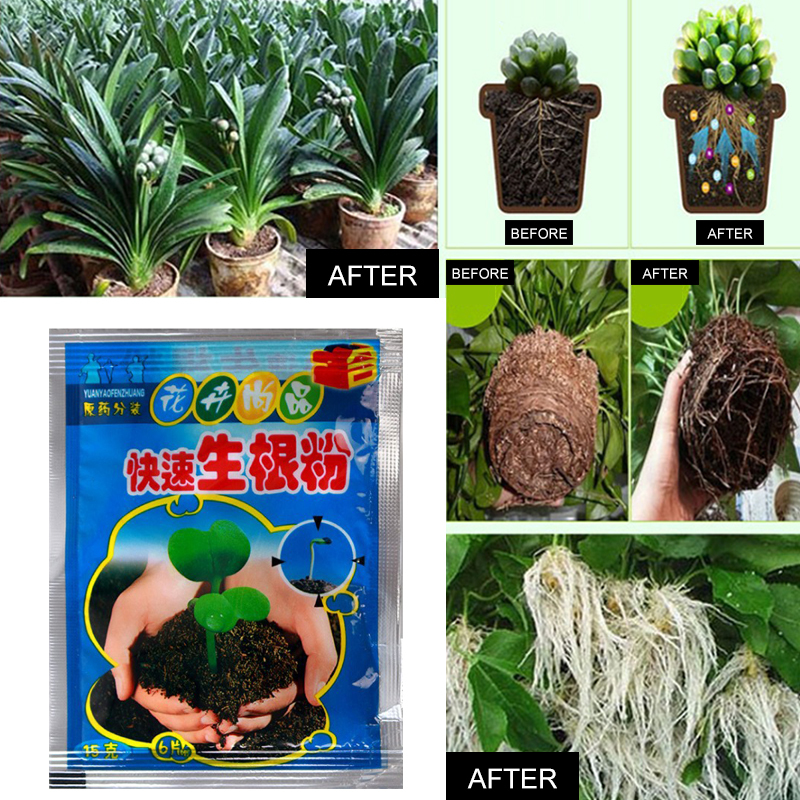 5pcs Fast Rooting Powder Plant - Rooting Hormone Powder incelemesi ve fiyatı