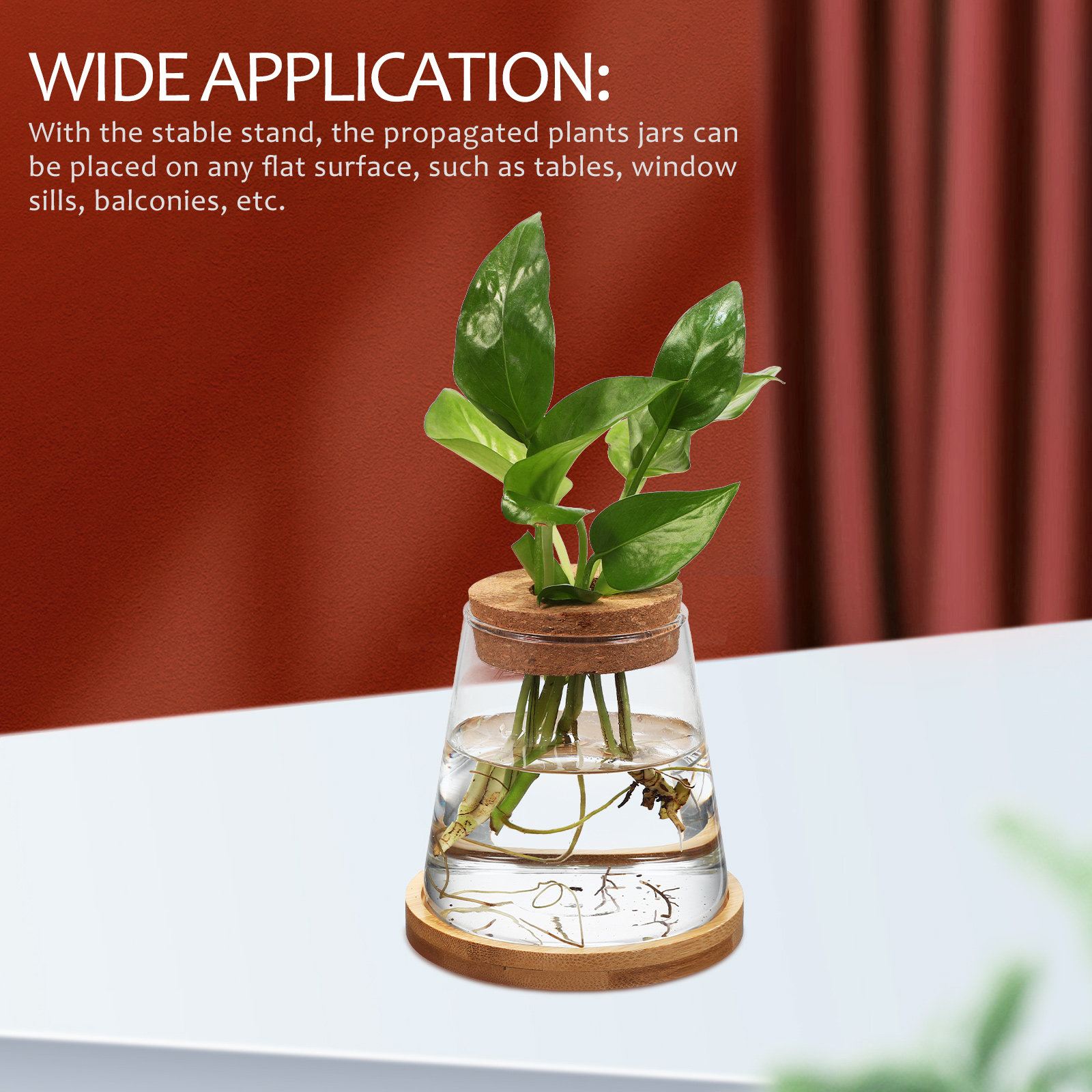 2Pcs Hydroponic Plants Propaga - Propagation Station Vase incelemesi ve fiyatı
