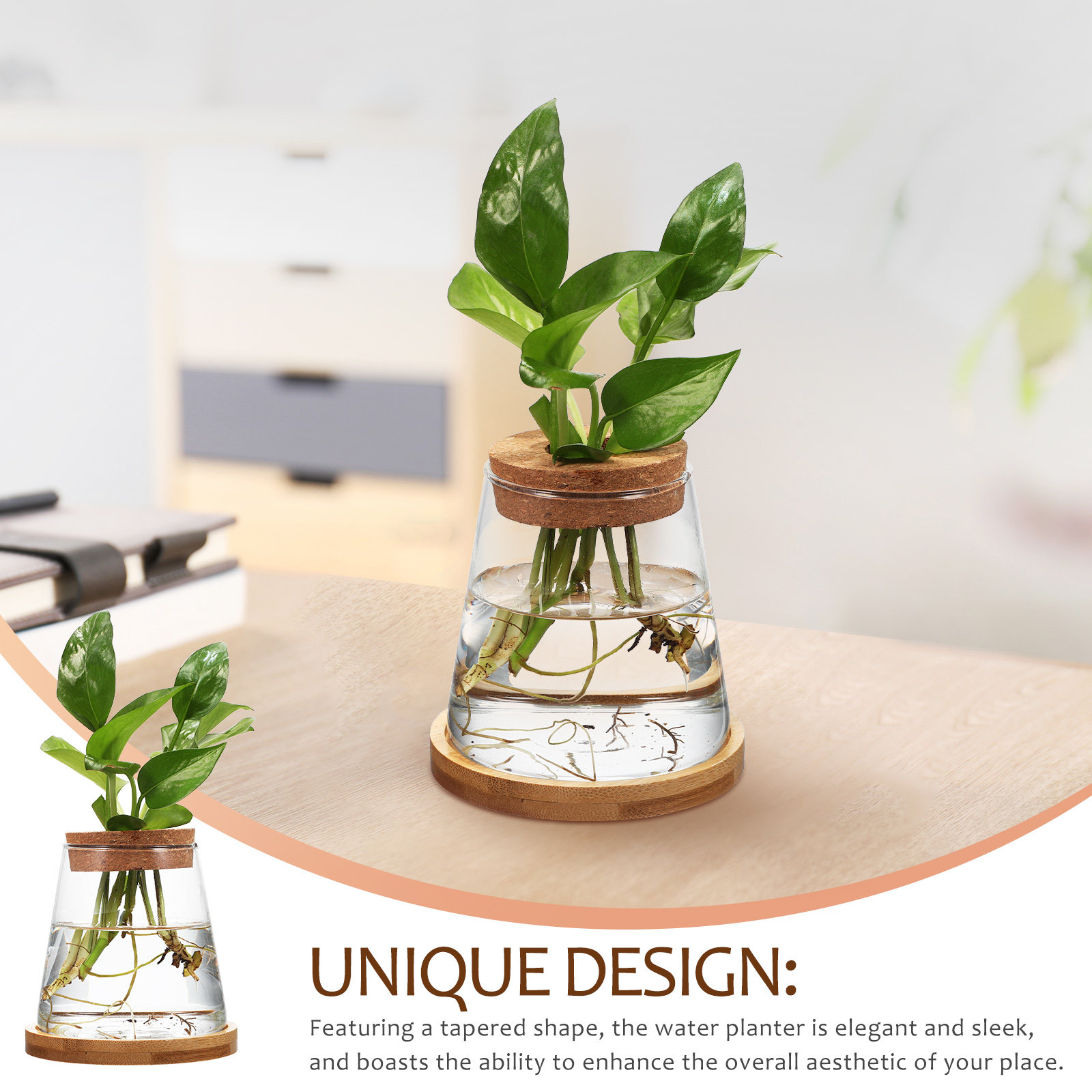 2Pcs Hydroponic Plants Propaga - Propagation Station Vase incelemesi ve fiyatı