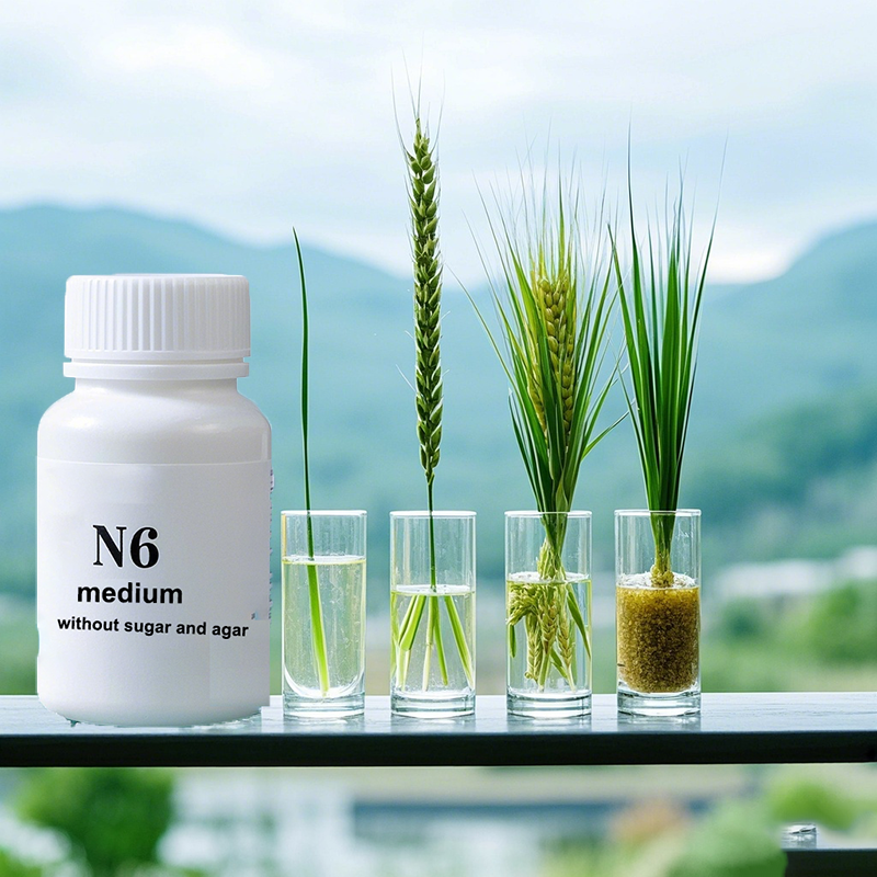 N6 Medium Wtihout Sugar Or Aga - Agar Tissue Culture incelemesi ve fiyatı