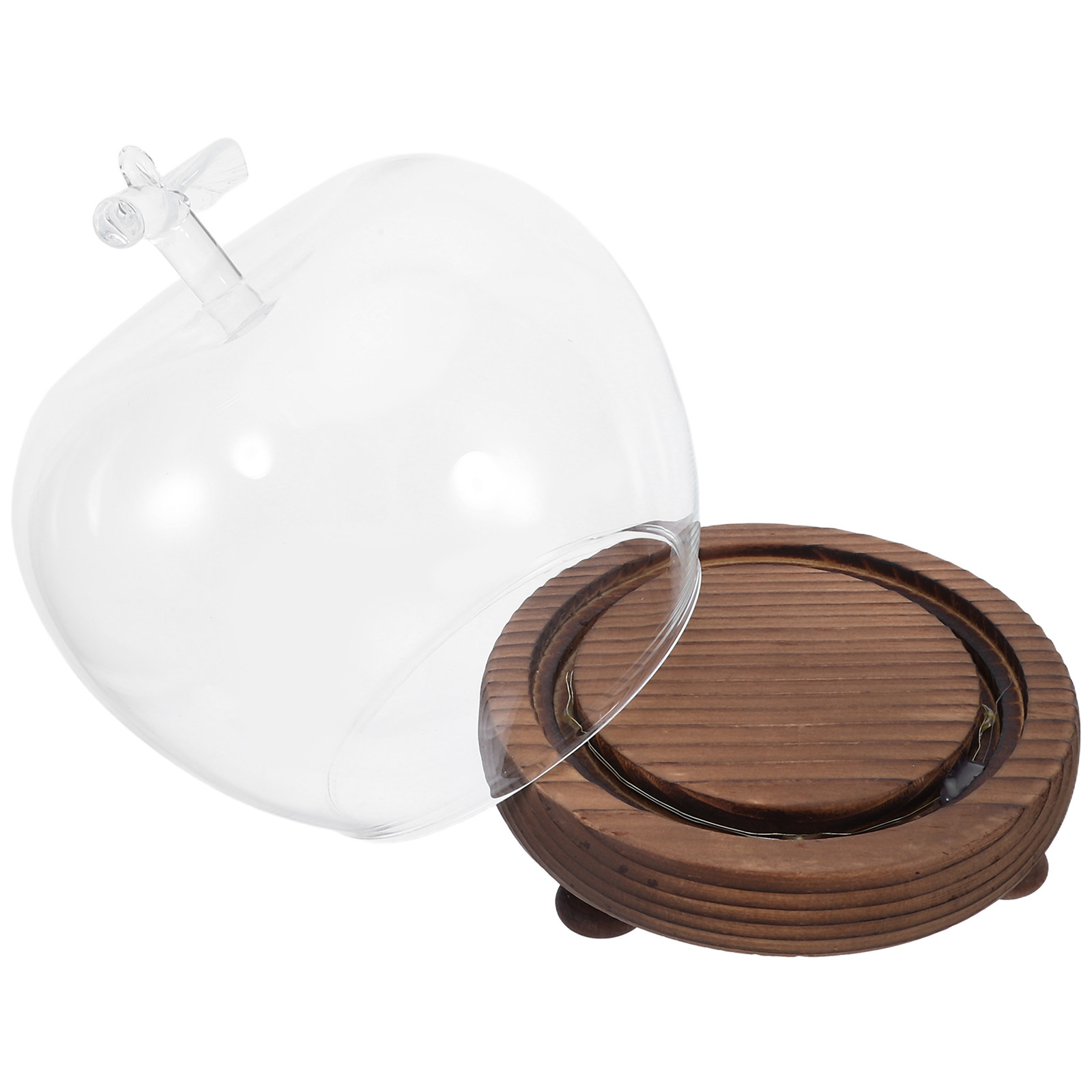 Clear Glass Dome Display with  - Plastic Dome Clear incelemesi ve fiyatı