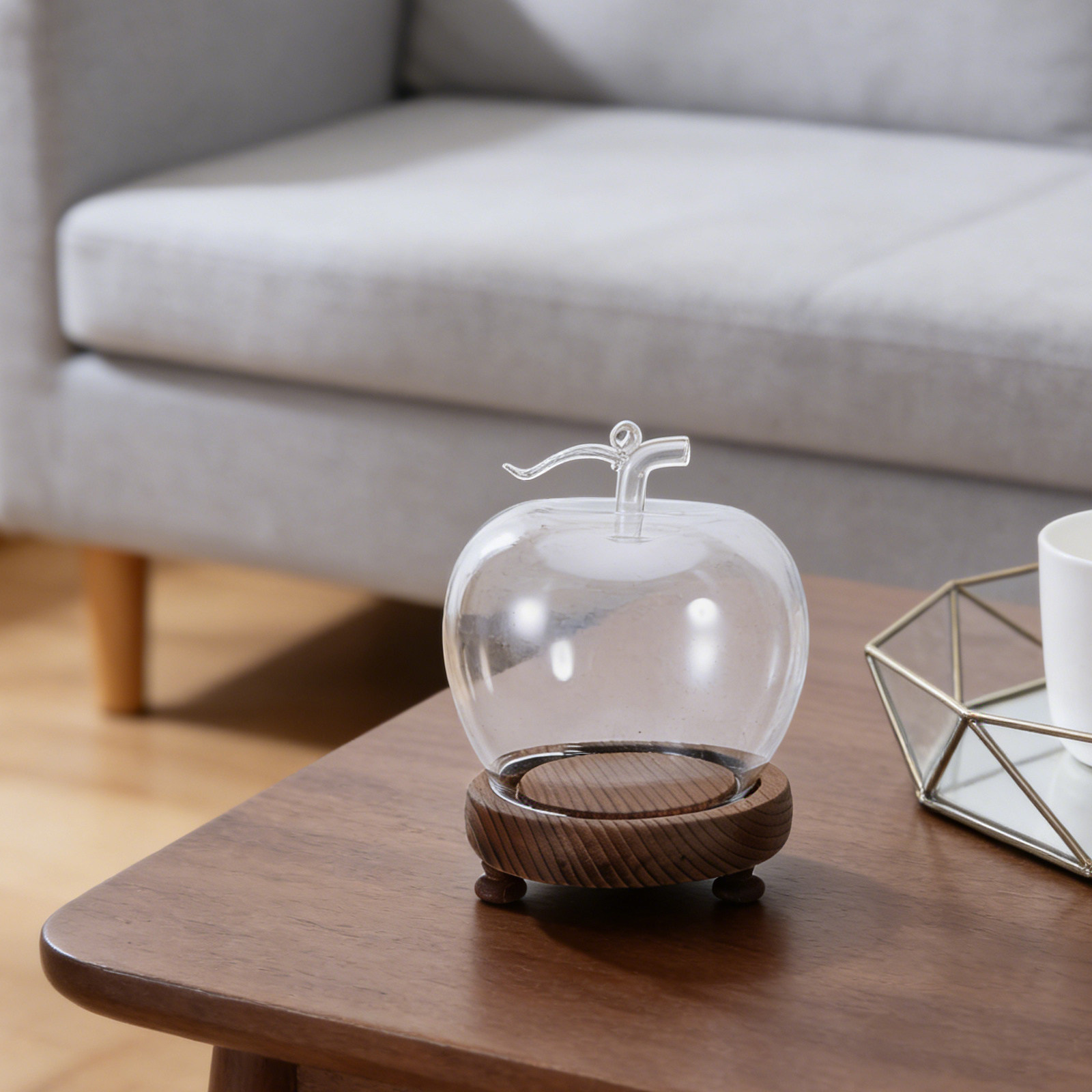 Clear Glass Dome Display with  - Plastic Dome Clear incelemesi ve fiyatı