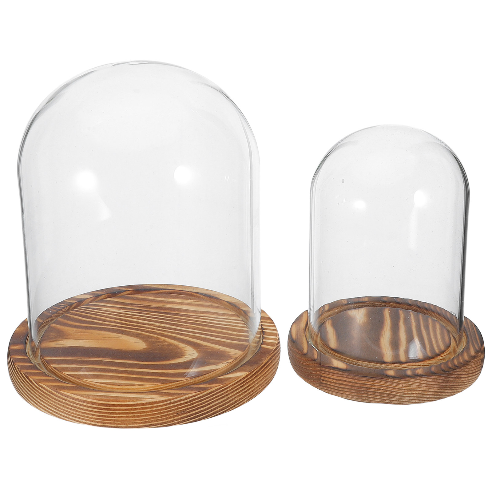 2Sets Clear Glass Display Dome - Plastic Dome Clear incelemesi ve fiyatı