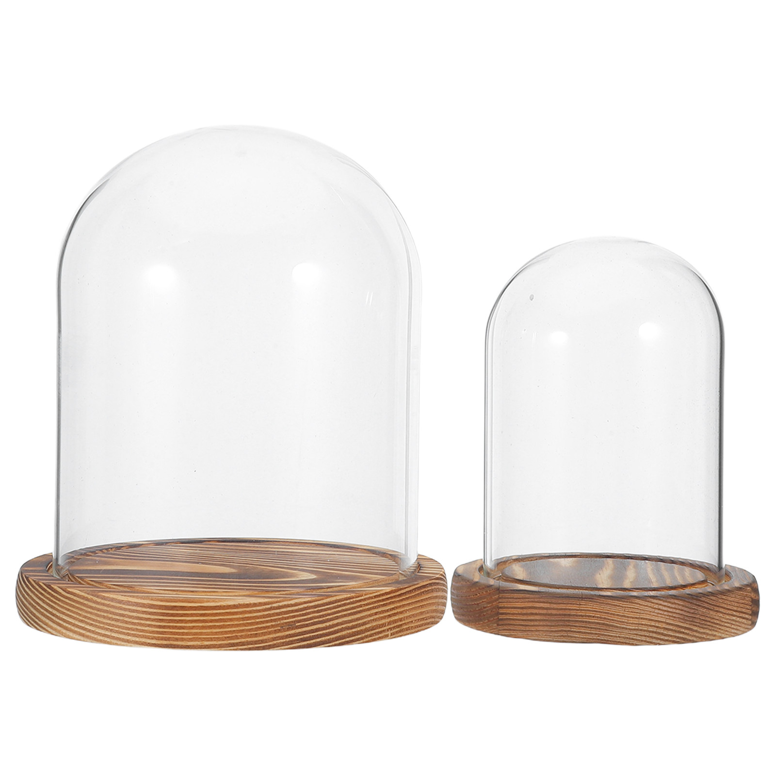 2Sets Clear Glass Display Dome - Plastic Dome Clear incelemesi ve fiyatı