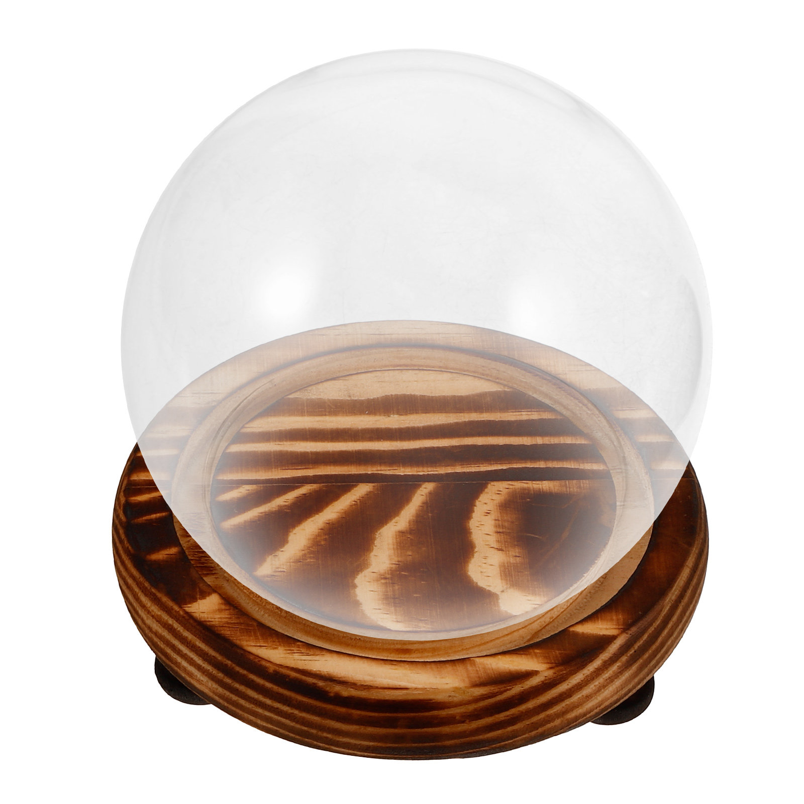 Glass Dome Display Case with W - Plastic Dome Clear incelemesi ve fiyatı