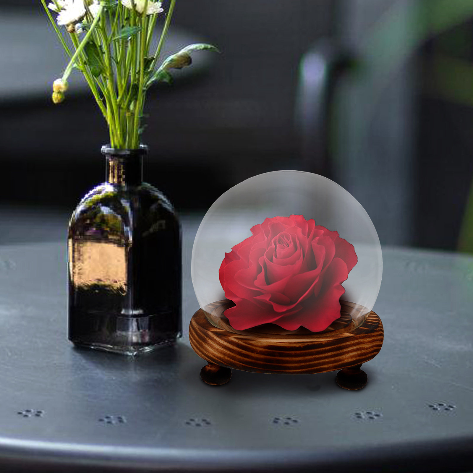 Glass Dome Display Case with W - Plastic Dome Clear incelemesi ve fiyatı