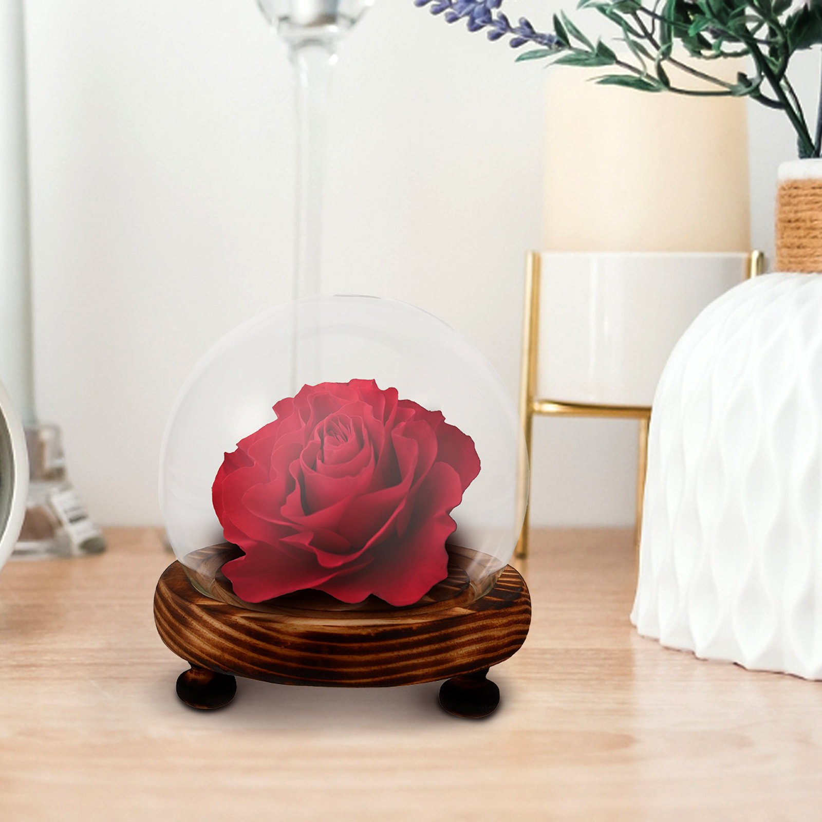 Glass Dome Display Case with W - Plastic Dome Clear incelemesi ve fiyatı