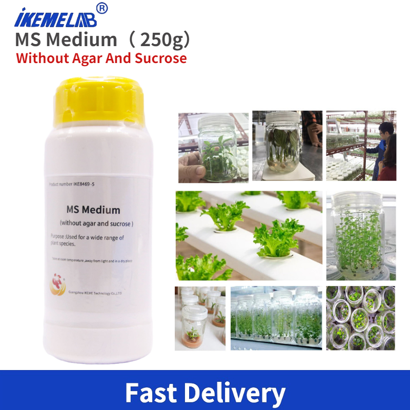 IKEME Lab MS Medium 250g Witho - Agar Tissue Culture incelemesi ve fiyatı