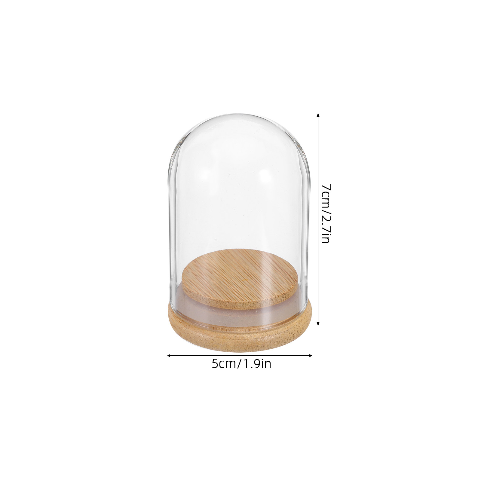 6Pcs Clear Glass Cloche Dome D - Plastic Dome Clear incelemesi ve fiyatı