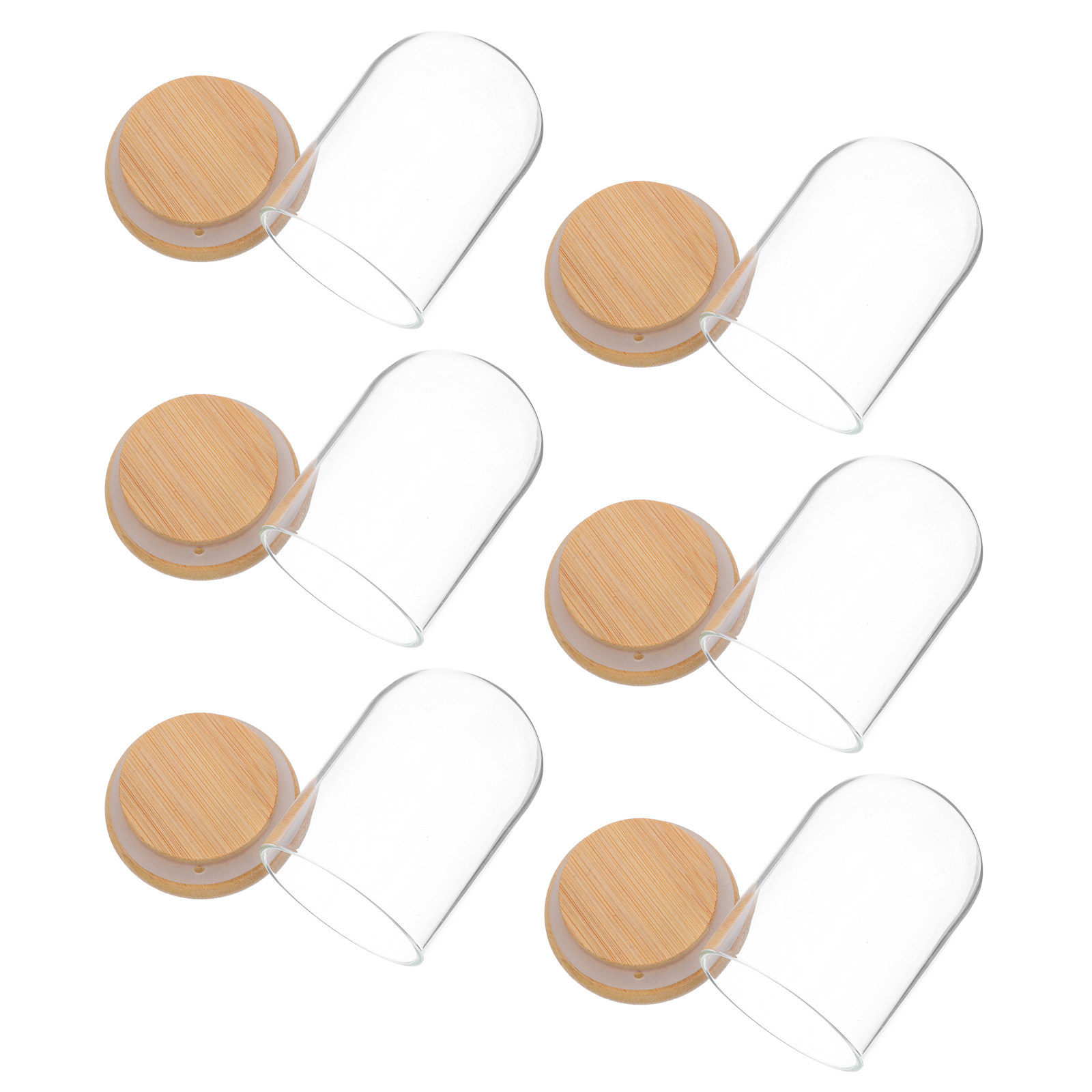 6Pcs Clear Glass Cloche Dome D - Plastic Dome Clear incelemesi ve fiyatı