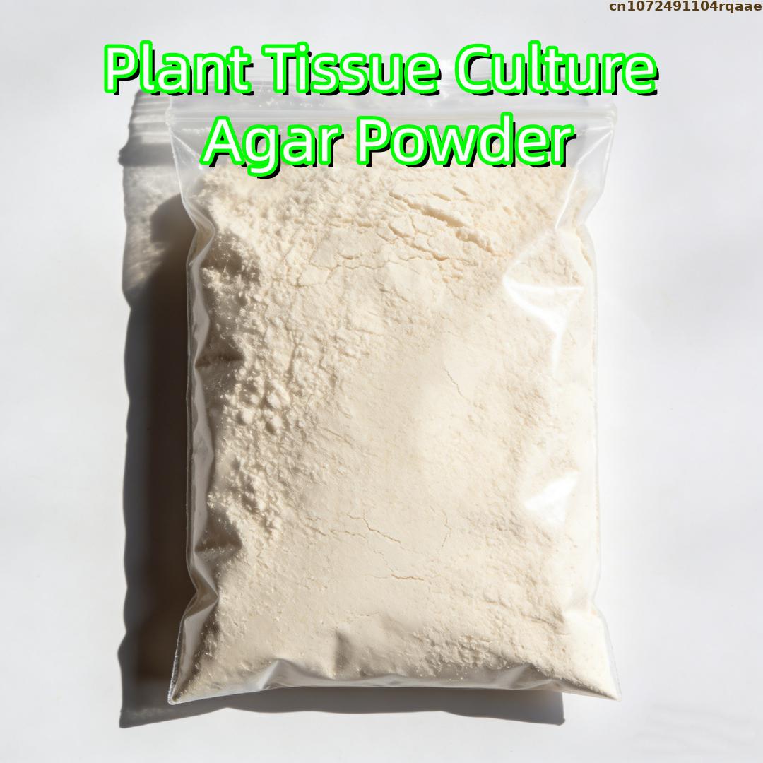 Premium Plant Tissue Culture A - Agar Tissue Culture incelemesi ve fiyatı