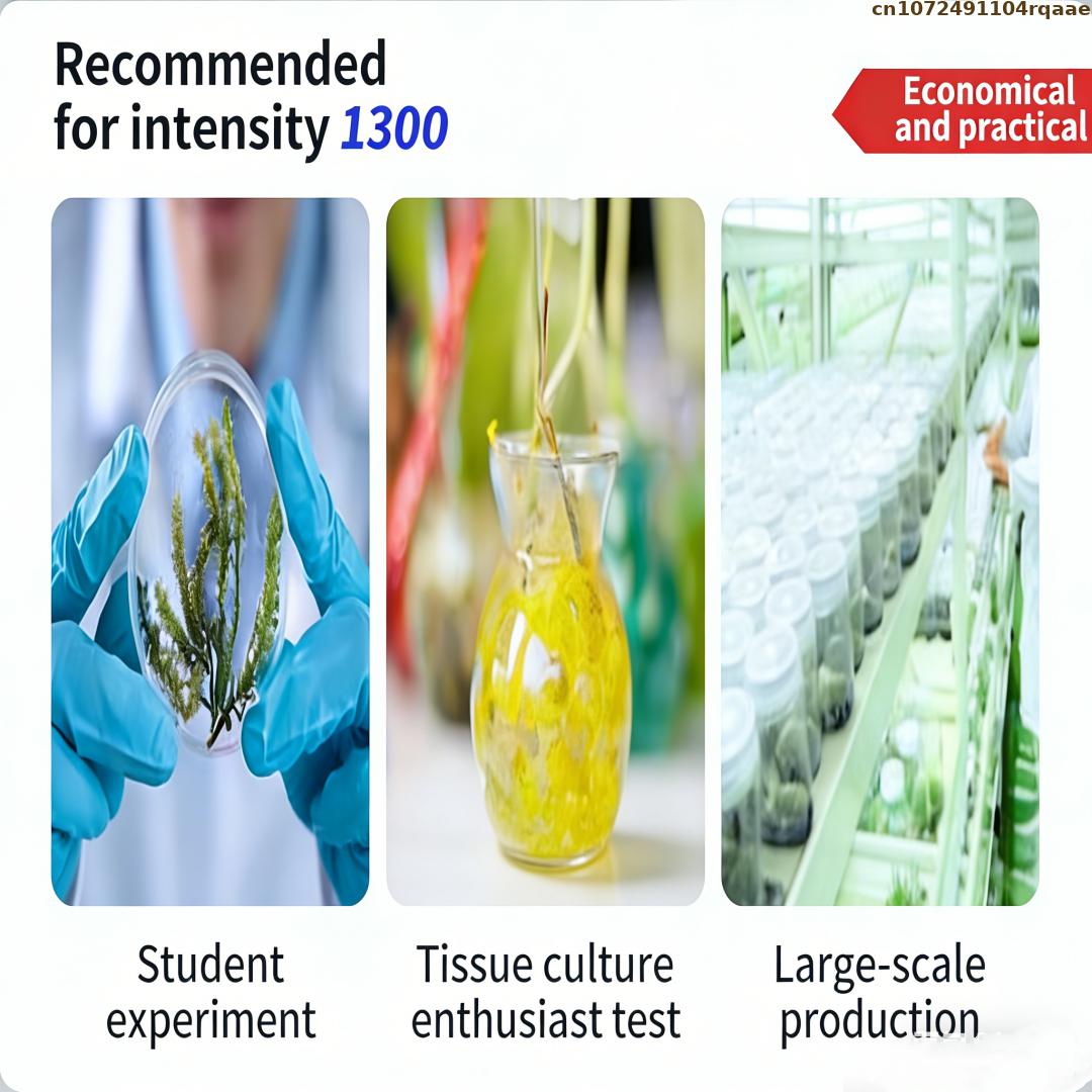 Premium Plant Tissue Culture A - Agar Tissue Culture incelemesi ve fiyatı