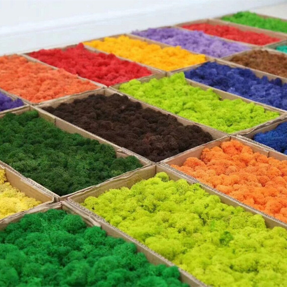 Artificial Green Plants Mini L - Sphagnum Moss Dry incelemesi ve fiyatı